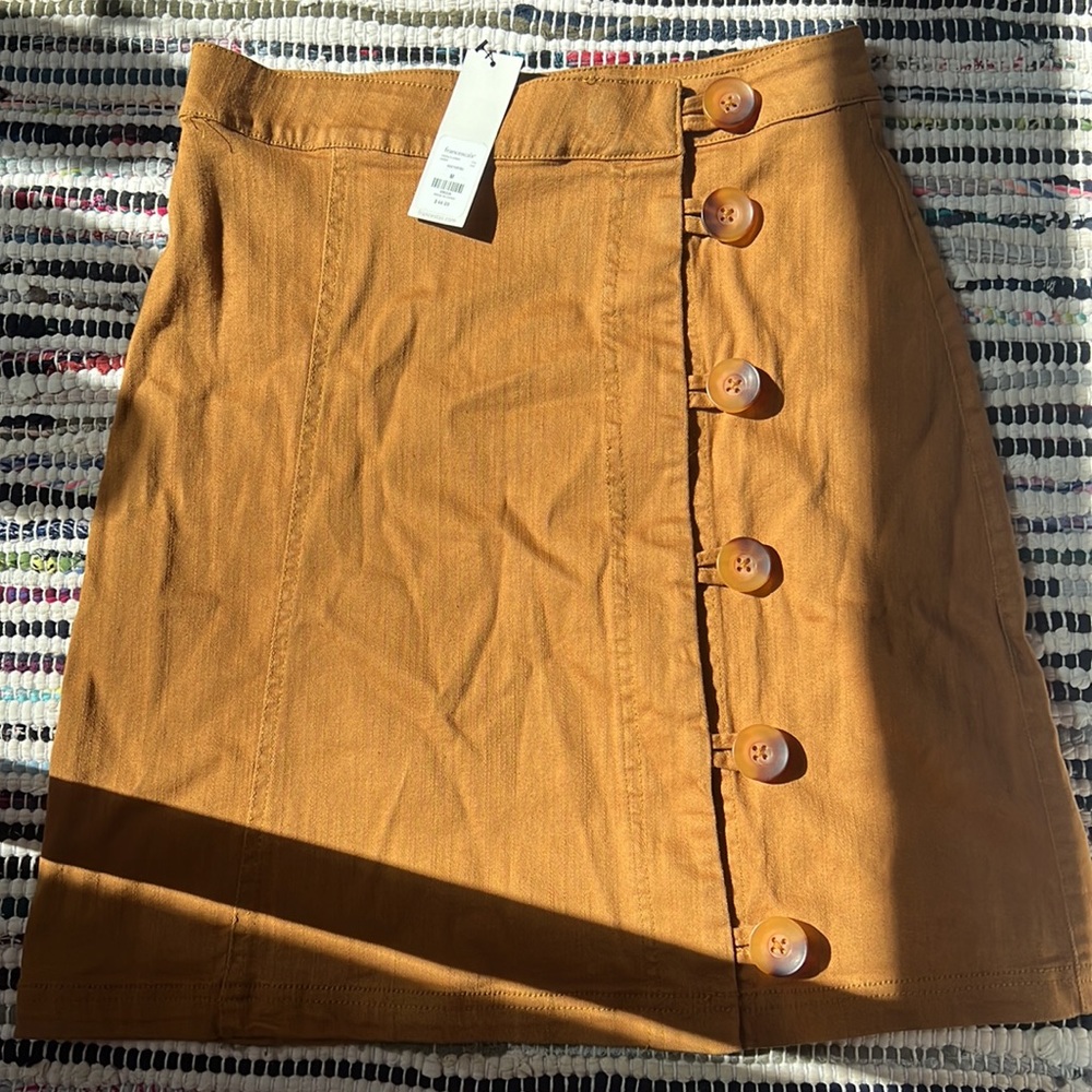 Francesca’s Mini Skirt